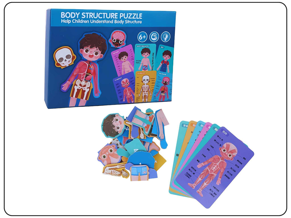 Unlocking Learning with Wooden Body Organ Puzzle Educational Toy from DODKart!