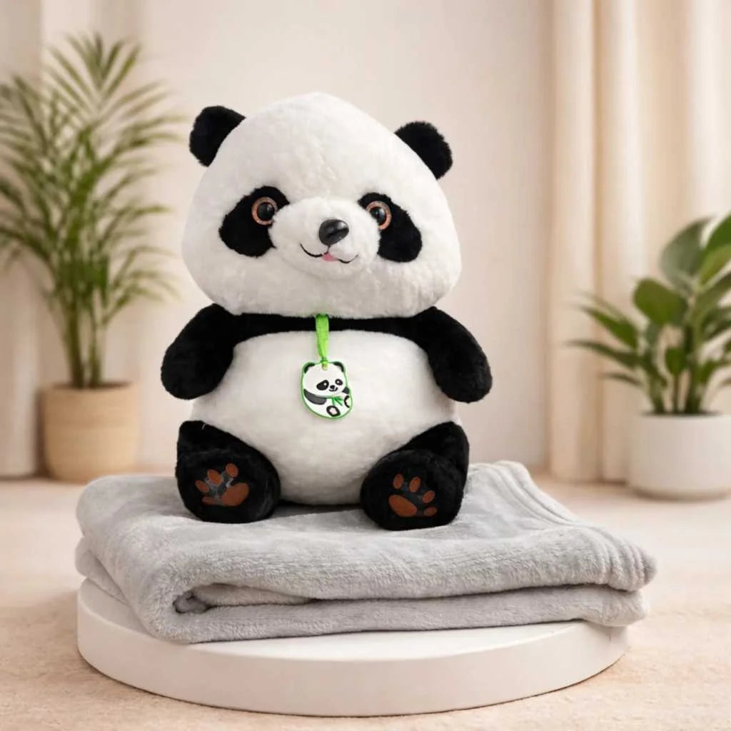 Cute 2 in 1 Panda Plush Blanket Combo Set 45cm