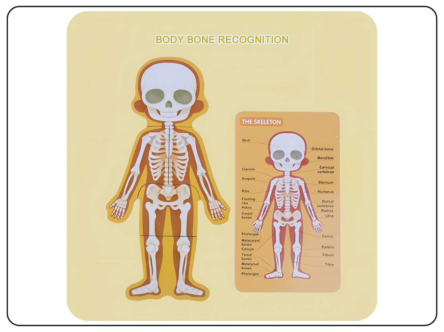 Wooden Body Parts Puzzle Educational Toy