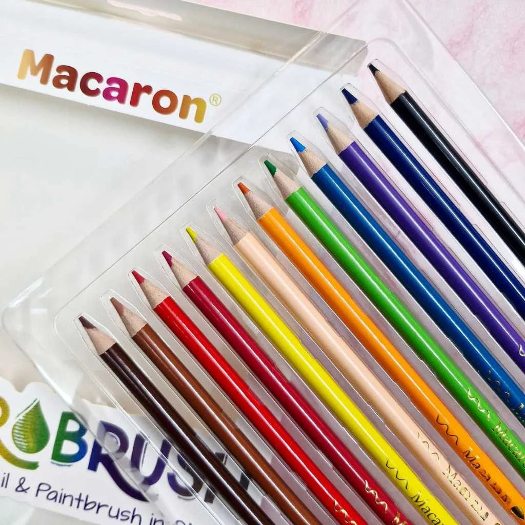 2 in 1 Water colour pencil and paint brush set