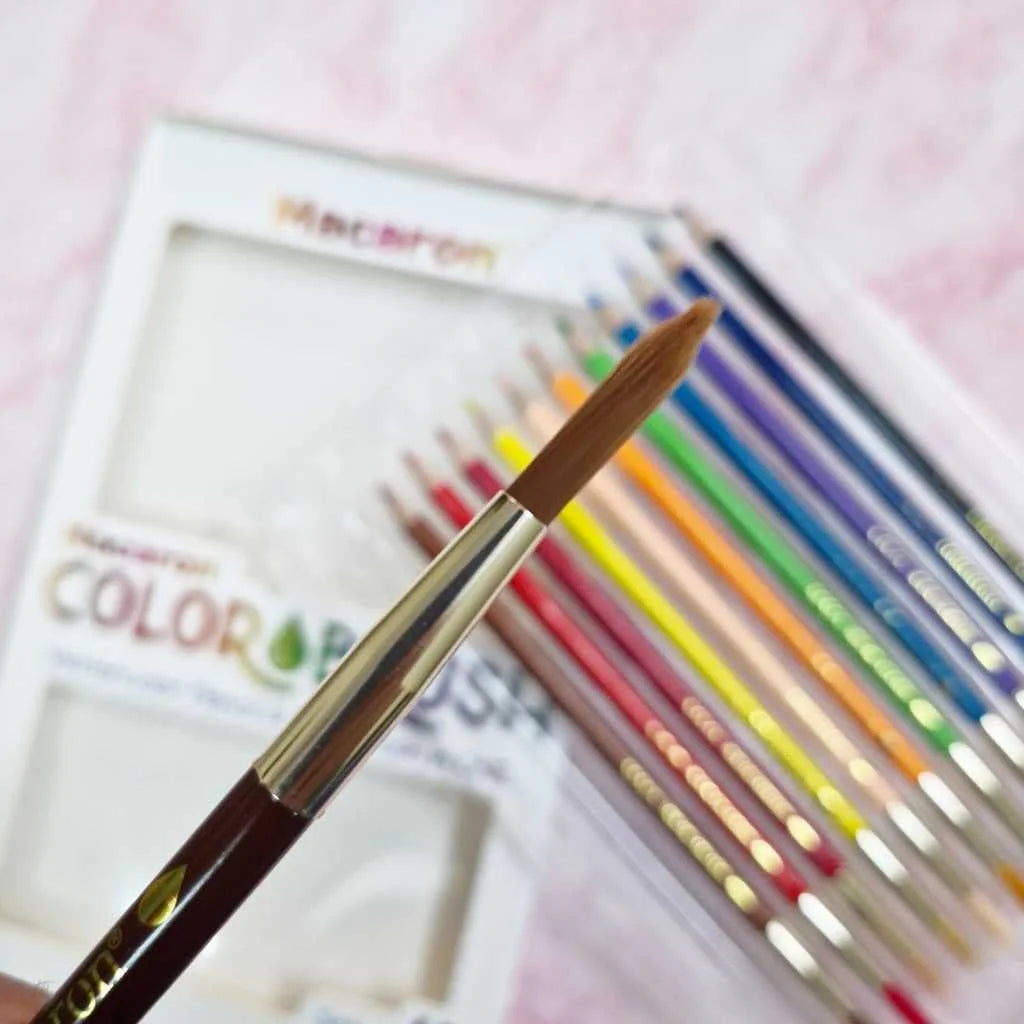 2 in 1 Water colour pencil and paint brush set