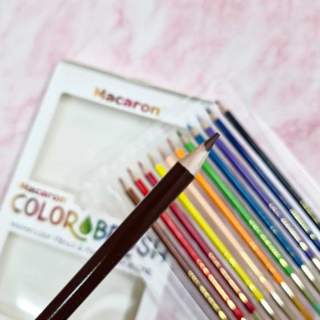 2 in 1 Water colour pencil and paint brush set
