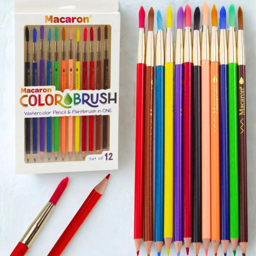 2 in 1 Water colour pencil and paint brush set