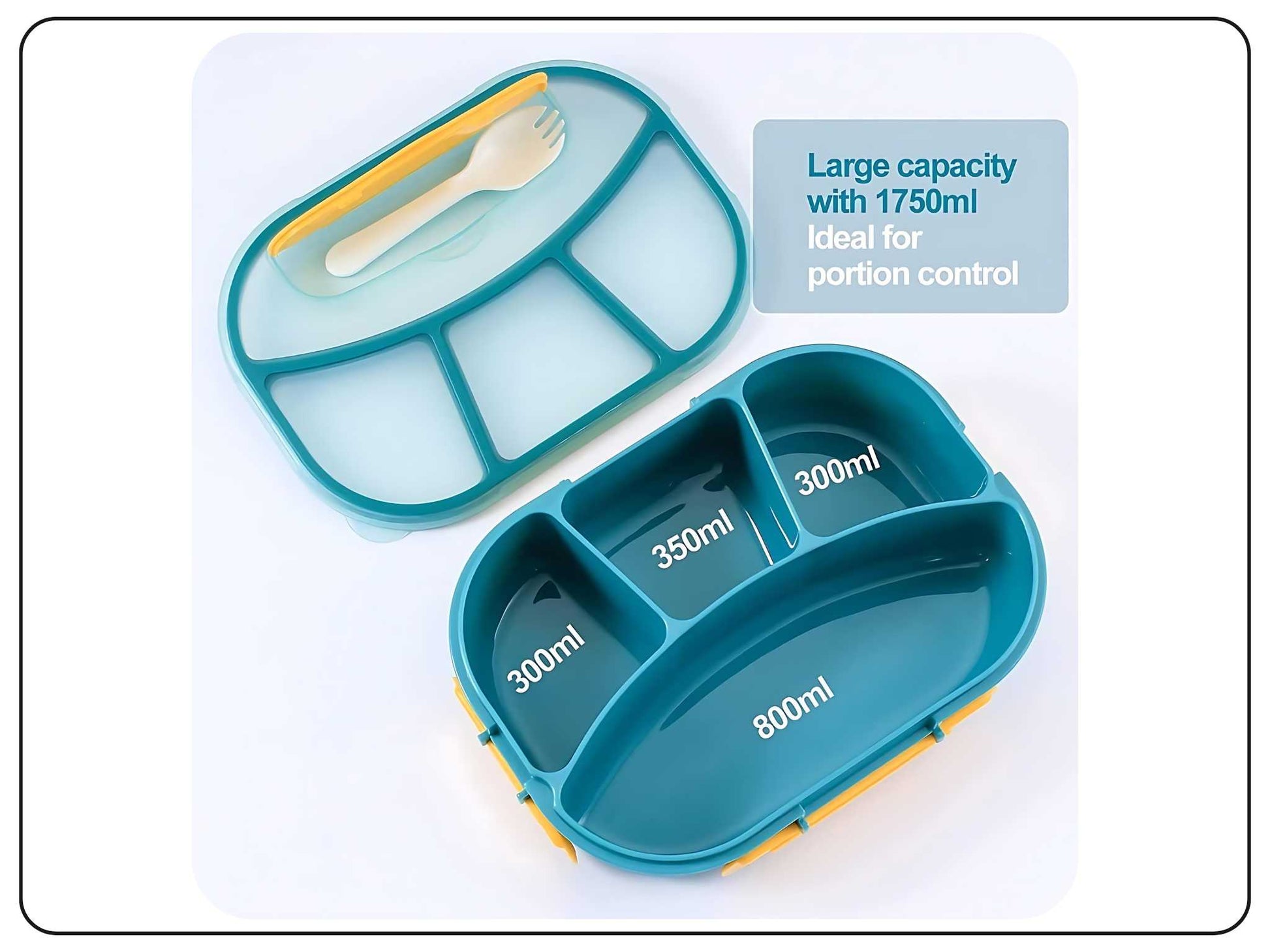 bento lunch box with 4 individual compartments