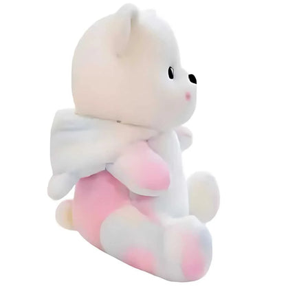 Colorful Hooded Cute Teddy Bear Soft Toy