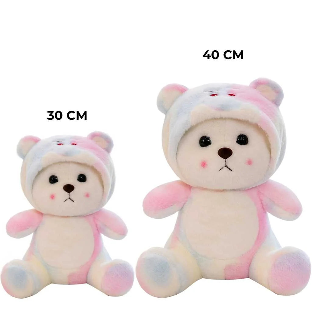 Colorful Hooded Cute Teddy Bear Soft Toy