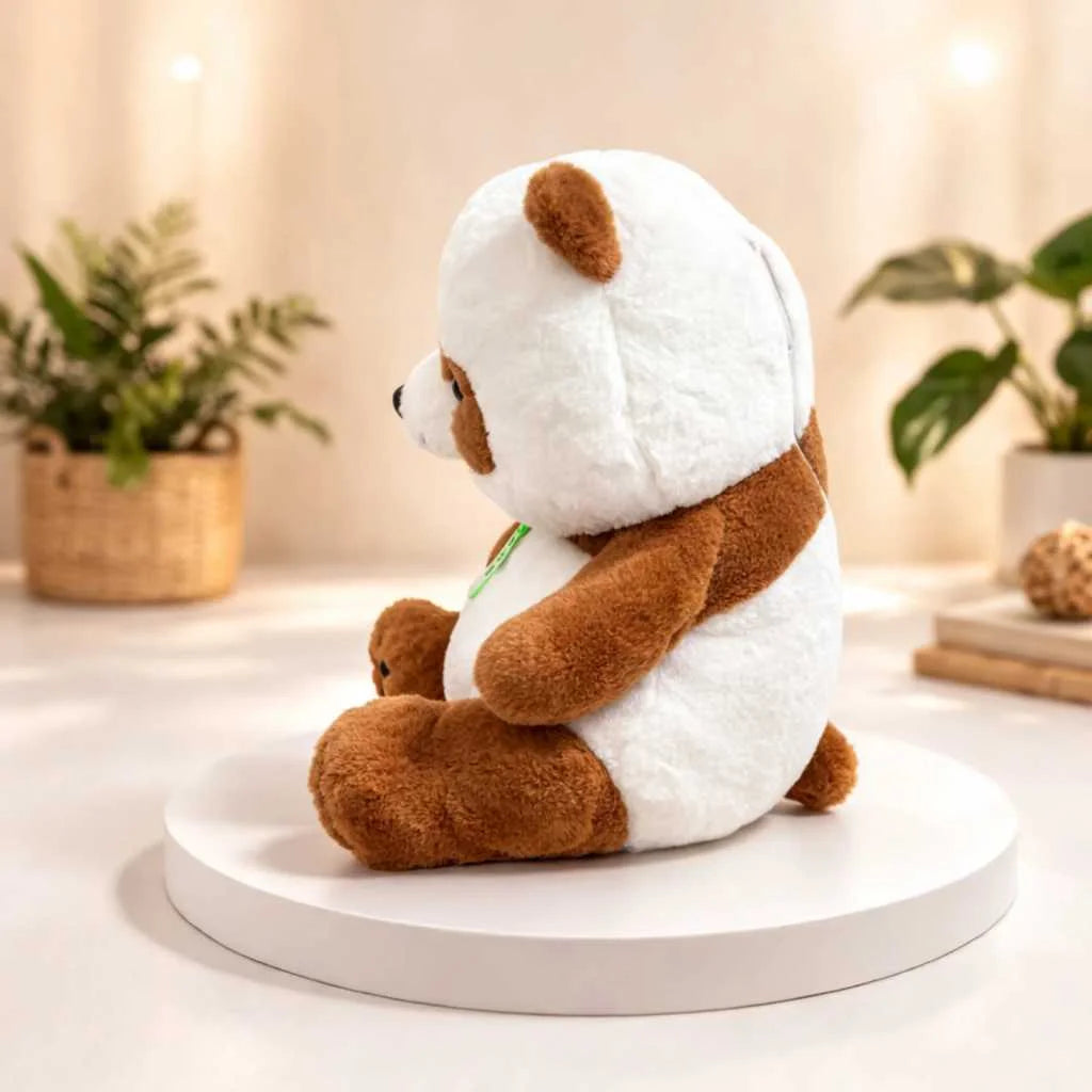 Cute 2 in 1 Panda Plush Blanket Combo Set 45cm