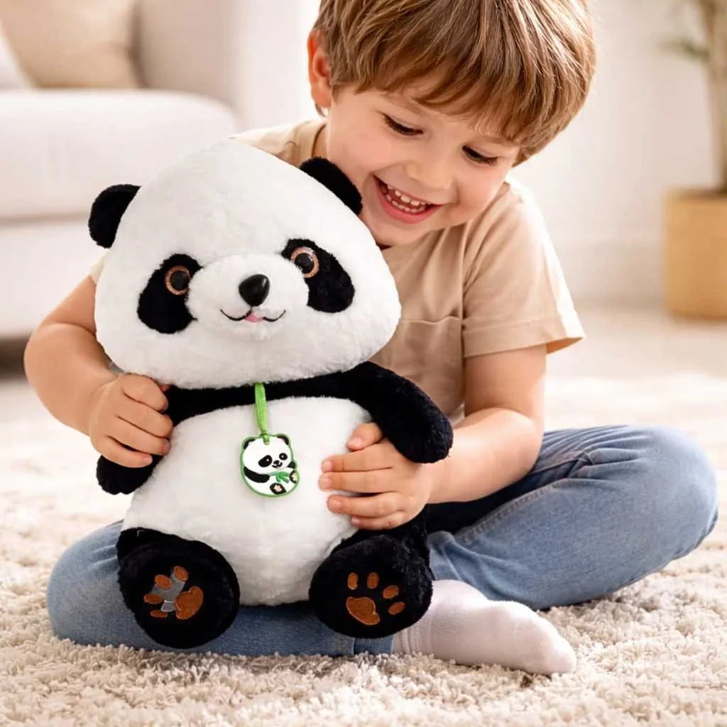 Cute 2 in 1 Panda Plush Blanket Combo Set 45cm
