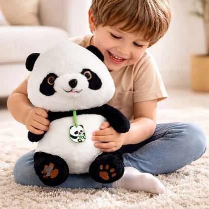 Cute 2 in 1 Panda Plush Blanket Combo Set 45cm