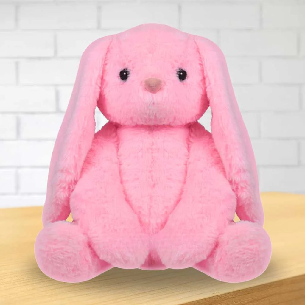 Cute Huggable Rabbit Soft Toy – DOD Kart