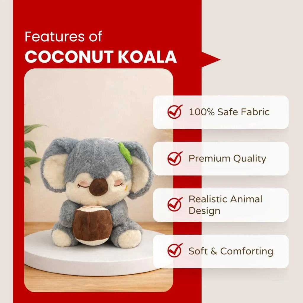 Cute Koala Soft Toy Holding Coconut 35cm Brown and Grey