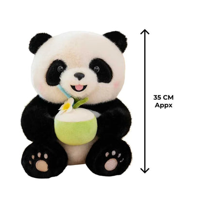 Cute Panda Plush Toy with Outfit Premium 35cm Soft Toys