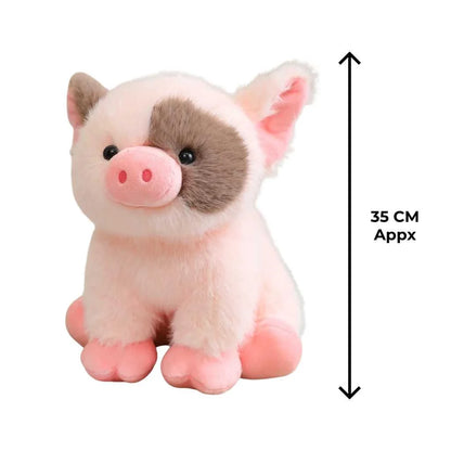 Cute Plush Pig Toy  Premium Soft Plush Pig Soft Toy India