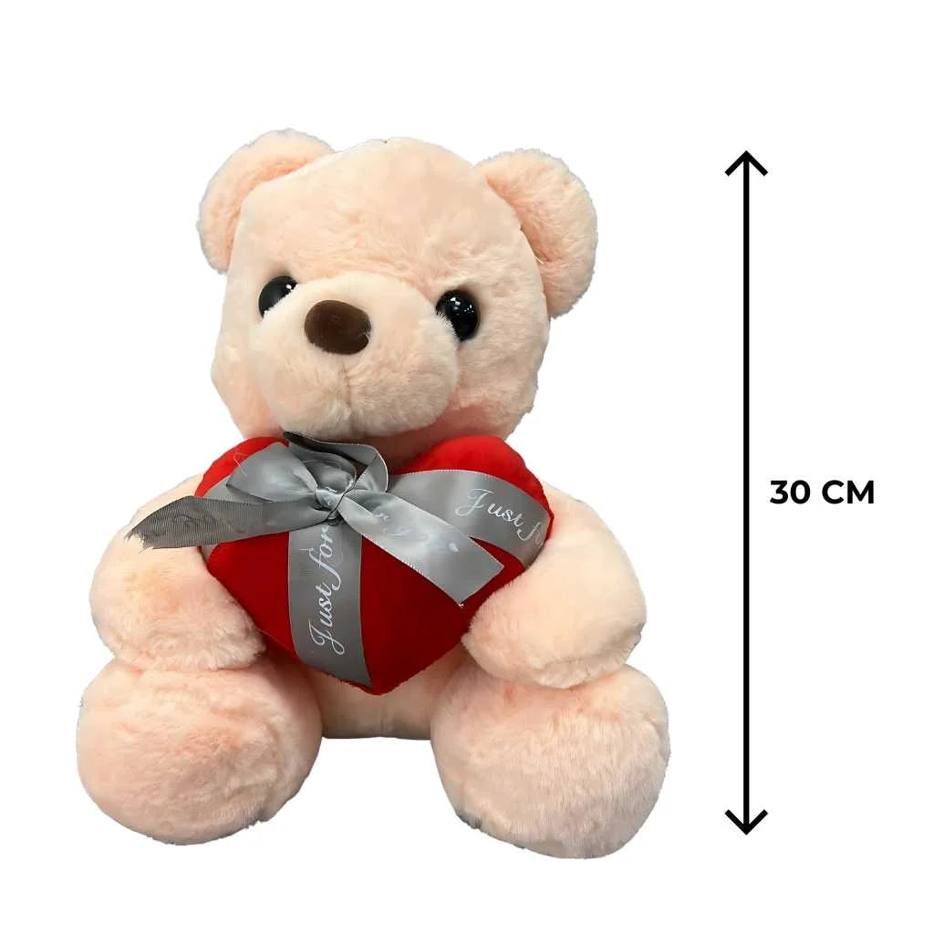 Cute Plush Teddy Bear for Girls with Heart