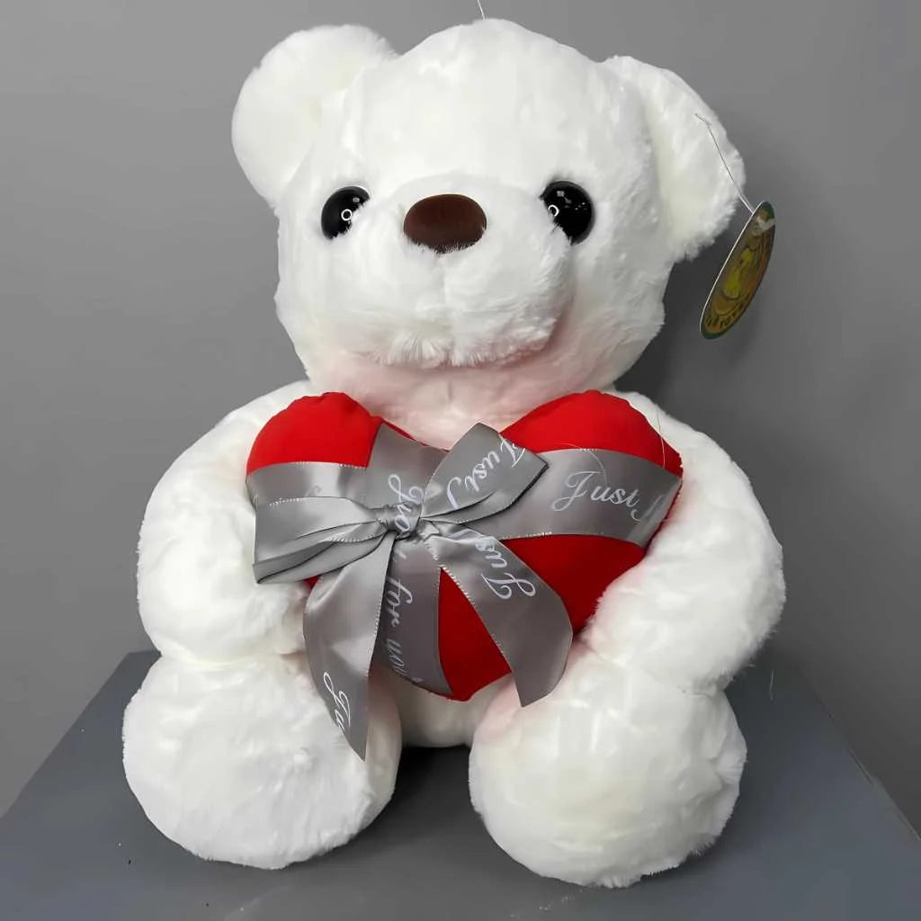 Cute Plush Teddy Bear for Girls with Heart