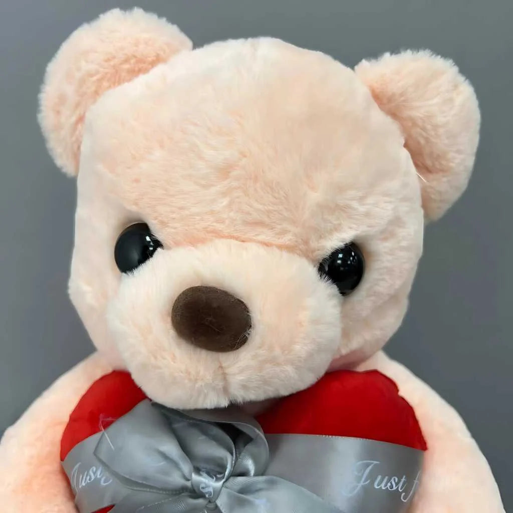 Cute Plush Teddy Bear for Girls with Heart