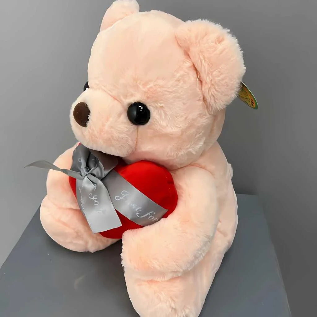 Cute Plush Teddy Bear for Girls with Heart