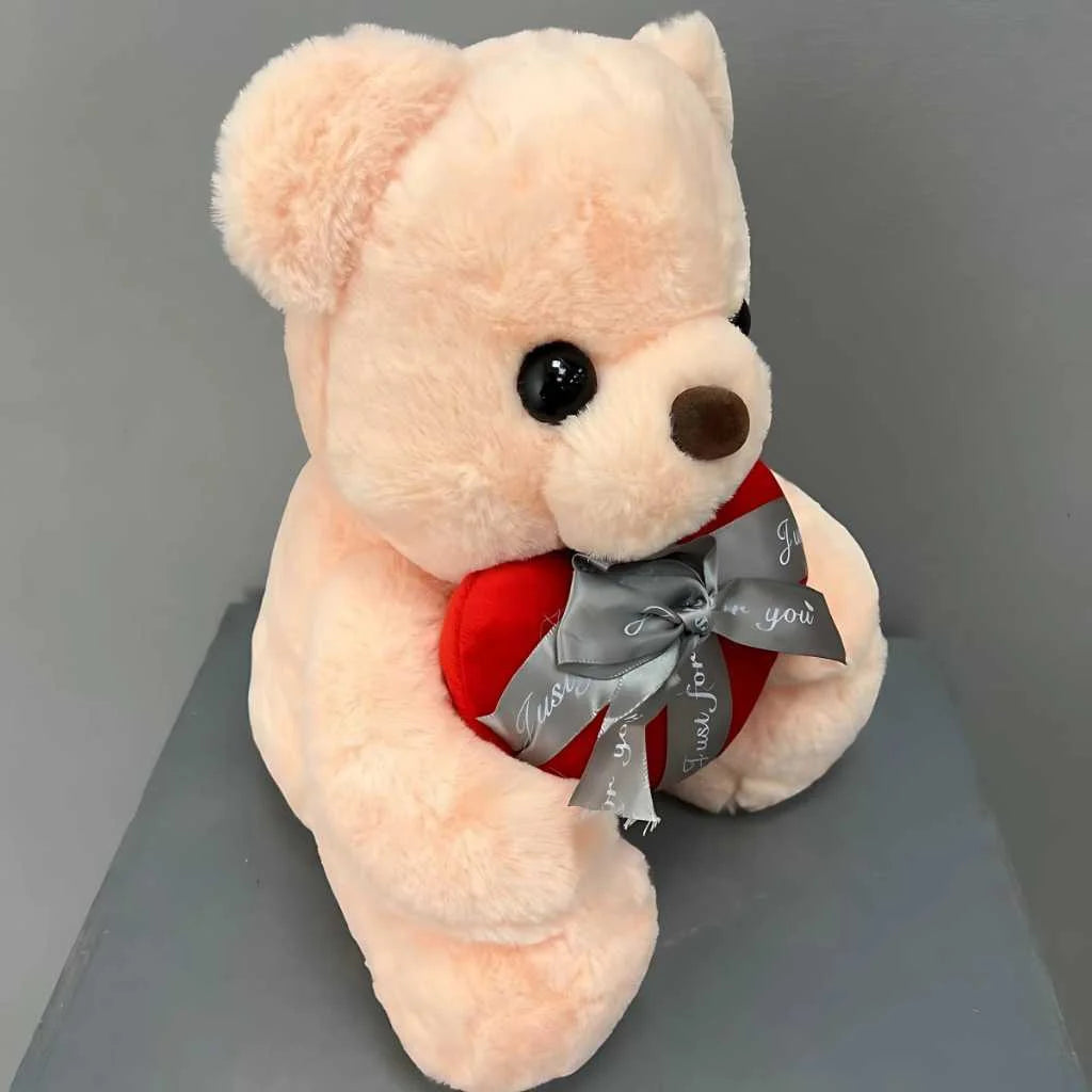 Cute Plush Teddy Bear for Girls with Heart