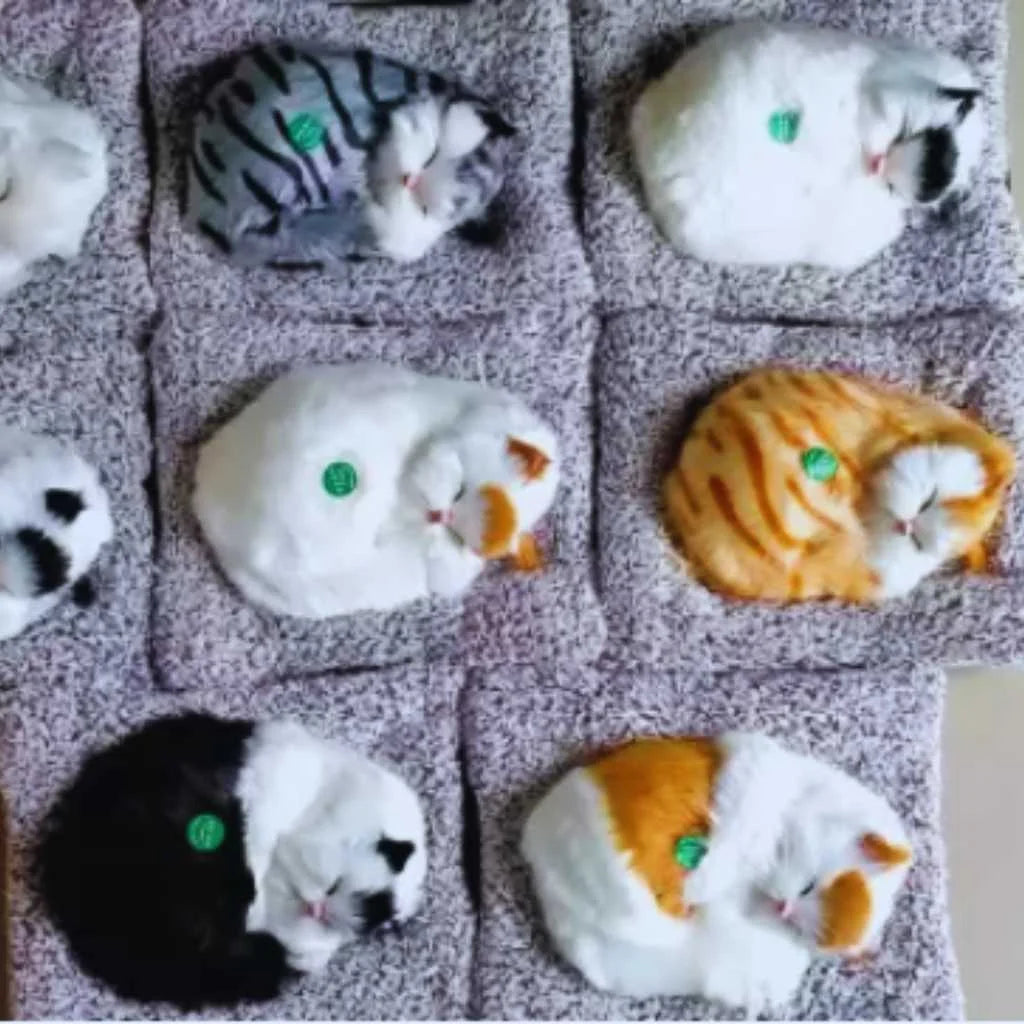 Cute Sleeping Cat Soft Toy Car Dashboard Toys
