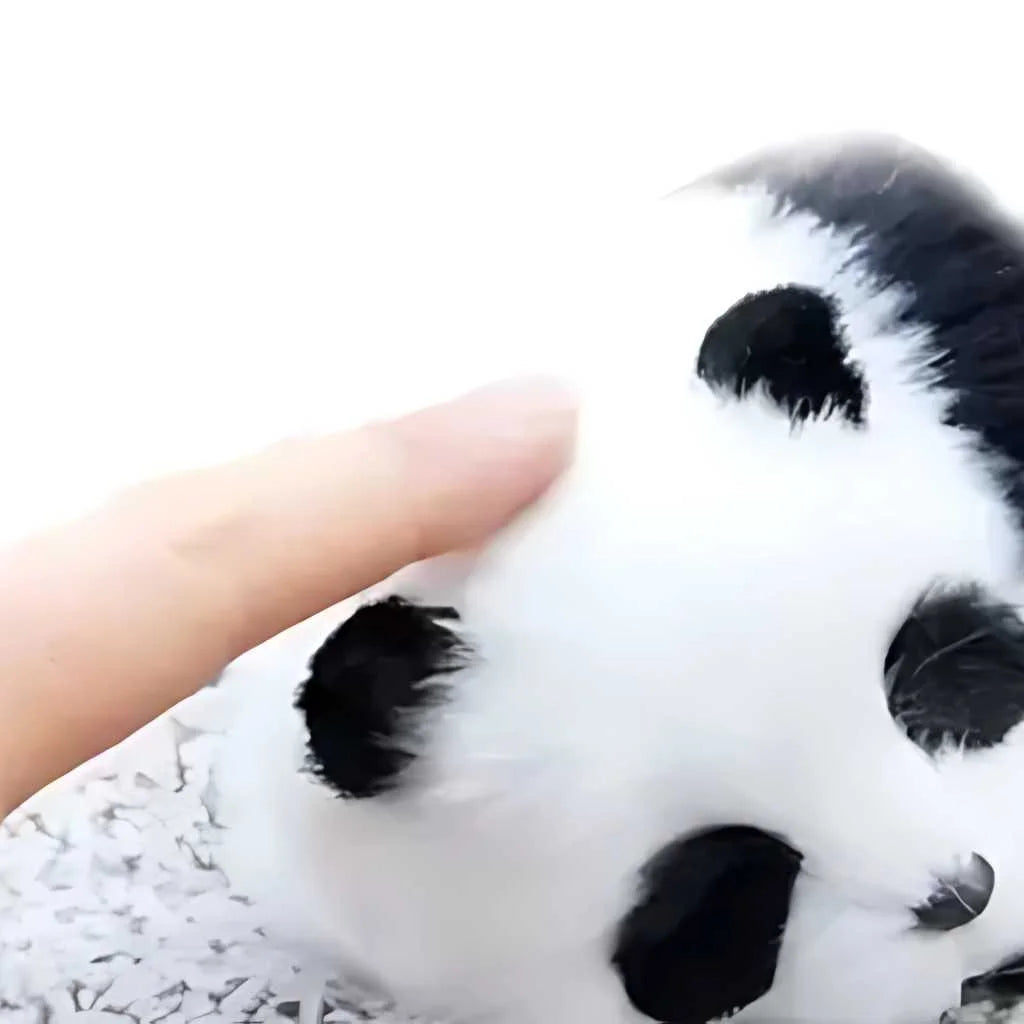 Cute Sleeping Panda for Car Dashboard Toys