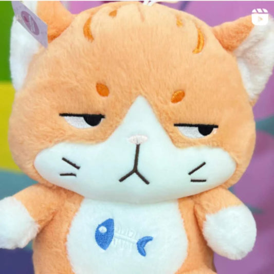 Cute Super Soft Angry Fish Cat Soft Toy