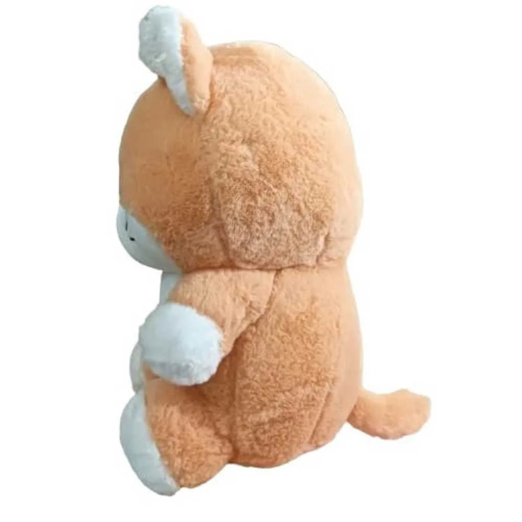 Cute Super Soft Angry Fish Cat Soft Toy