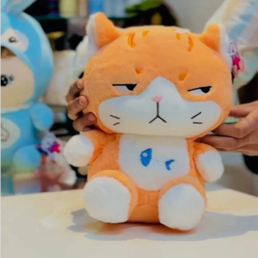 Cute Super Soft Angry Fish Cat Soft Toy