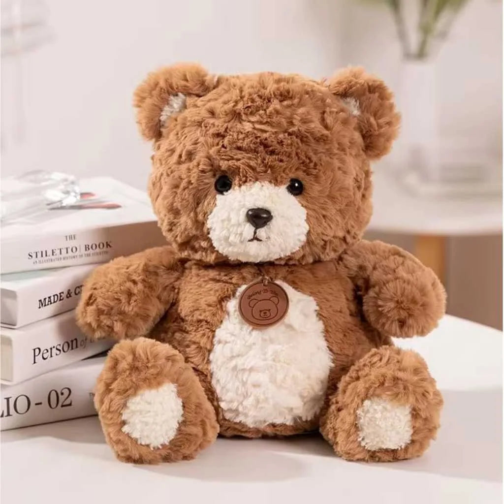Cute Teddy Bear Soft Toy with Rose Texture 35cm for Kids