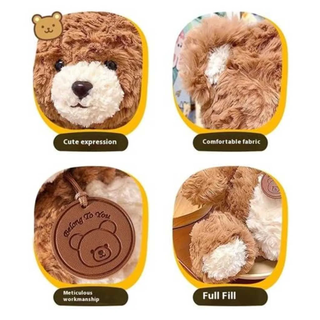 Cute Teddy Bear Soft Toy with Rose Texture 35cm for Kids