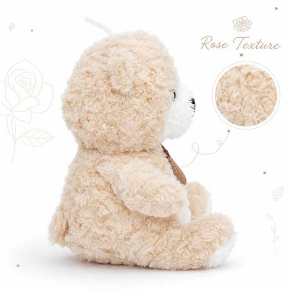 Cute Teddy Bear Soft Toy with Rose Texture 35cm for Kids