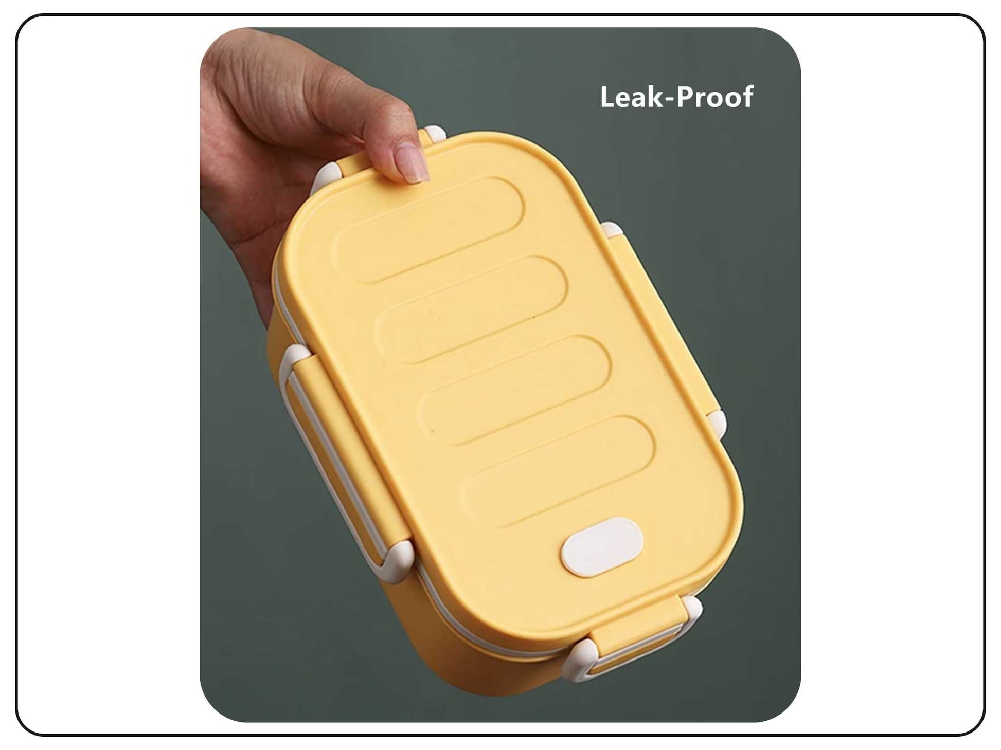 Double Layer Lunch Box for Kids Office use