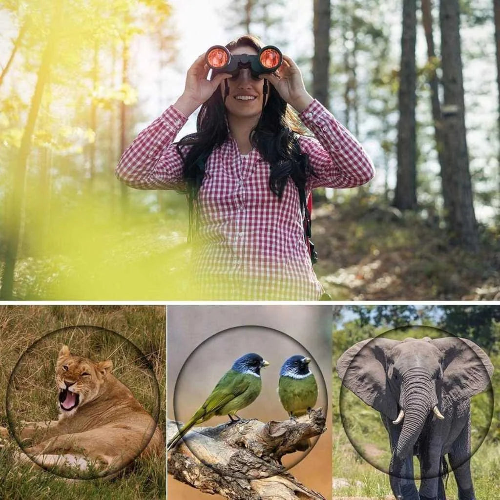 High Quality 60X60 Binoculars with Coated Optics