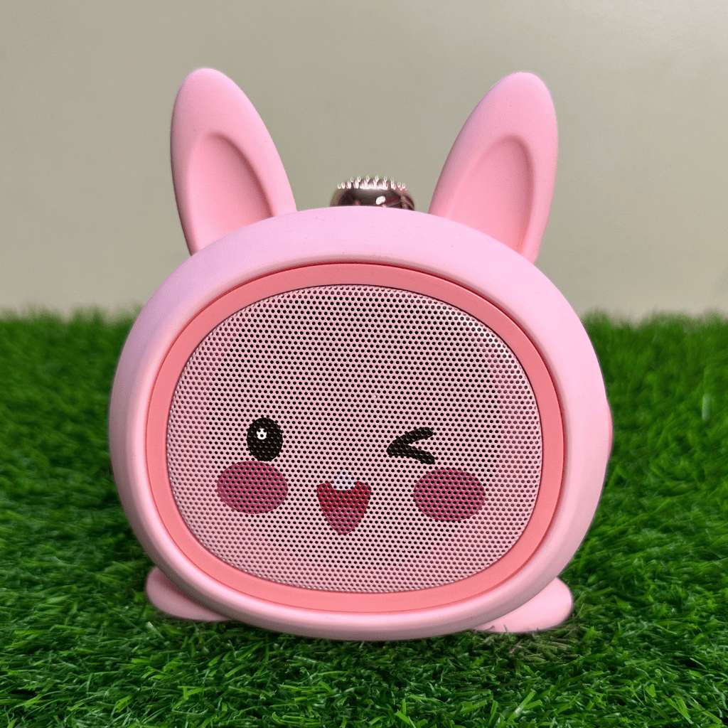 karaoke kid bluetooth speaker with mic cute and portable