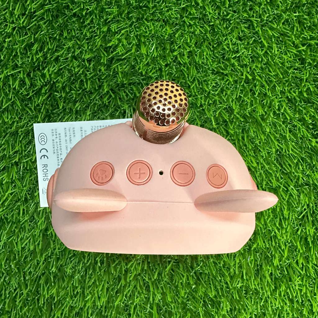 karaoke kid bluetooth speaker with mic cute and portable