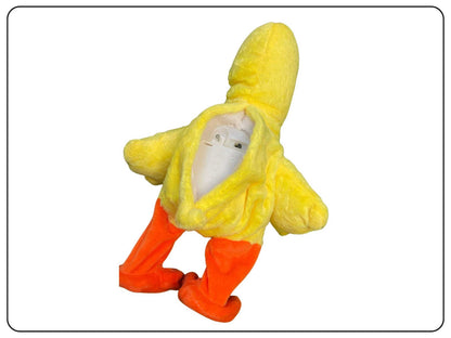 Musical and talk back Animal Duck Toy for Kids