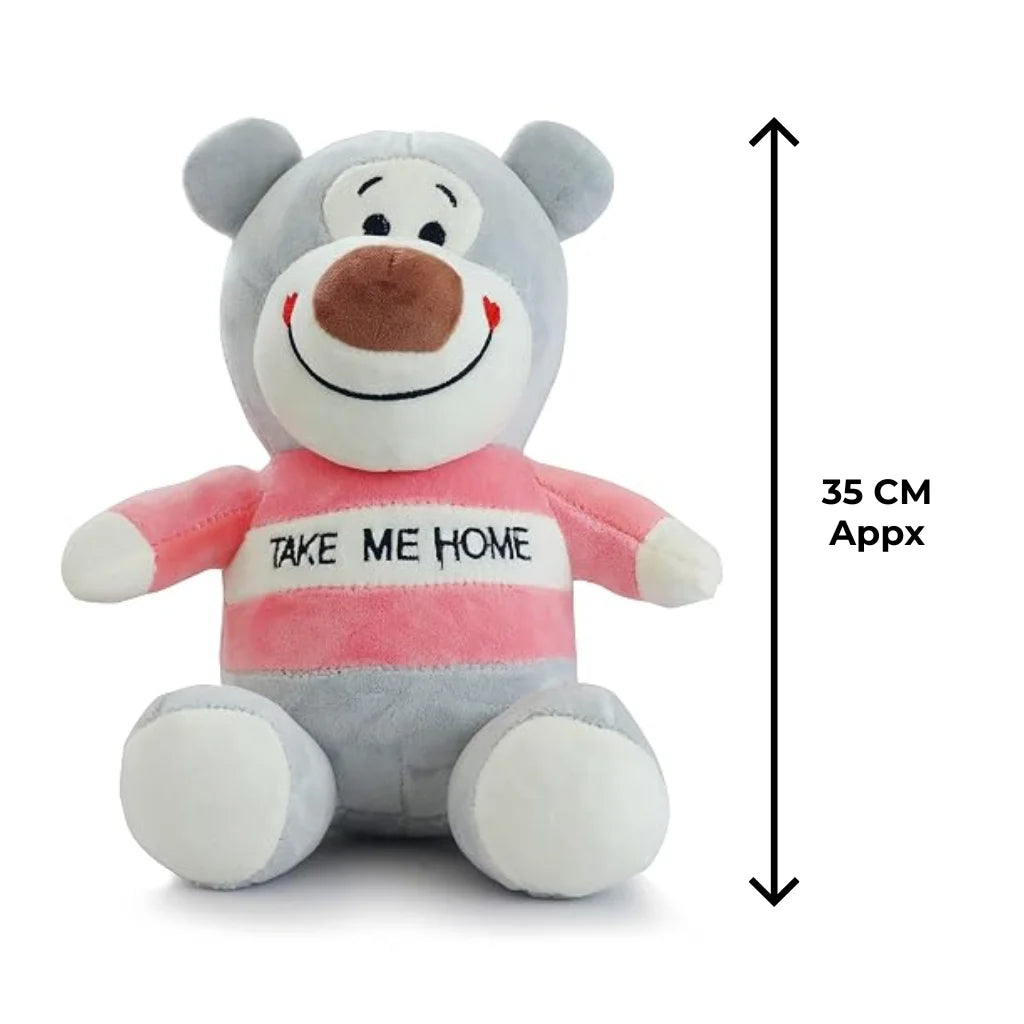 Take Me Home Teddy Bear Premium Grey Teddy Soft Toy India