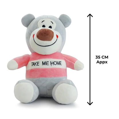Take Me Home Teddy Bear Premium Grey Teddy Soft Toy India