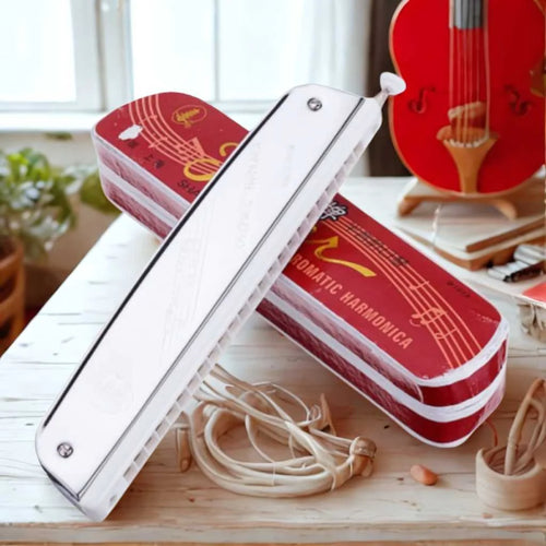 Tower Mouth Organ Harmonica with 24 Holes