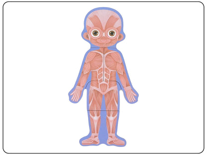 Wooden Body Parts Puzzle Educational Toy