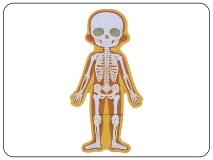 Wooden Body Parts Puzzle Educational Toy