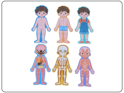 Wooden Body Parts Puzzle Educational Toy