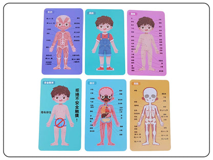 Wooden Body Parts Puzzle Educational Toy