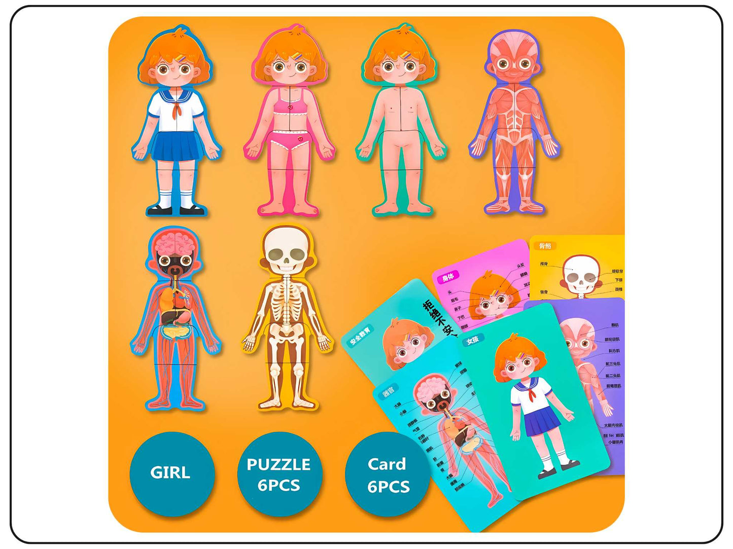Wooden Body Parts Puzzle Educational Toy