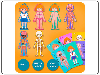 Wooden Body Parts Puzzle Educational Toy