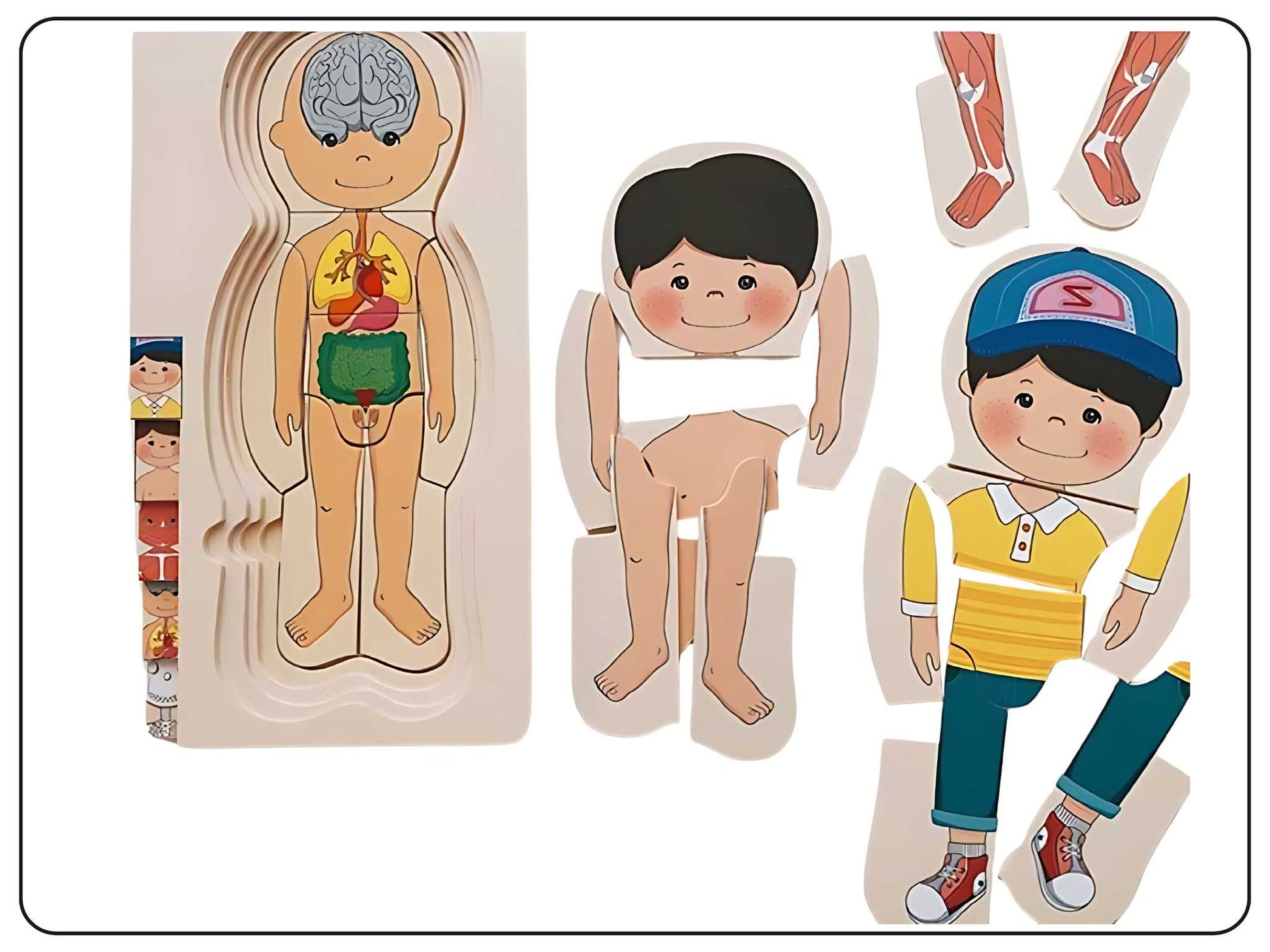 Wooden Human Body Puzzle Educational Toy