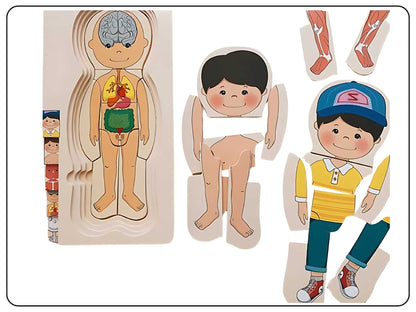 Wooden Human Body Puzzle Educational Toy