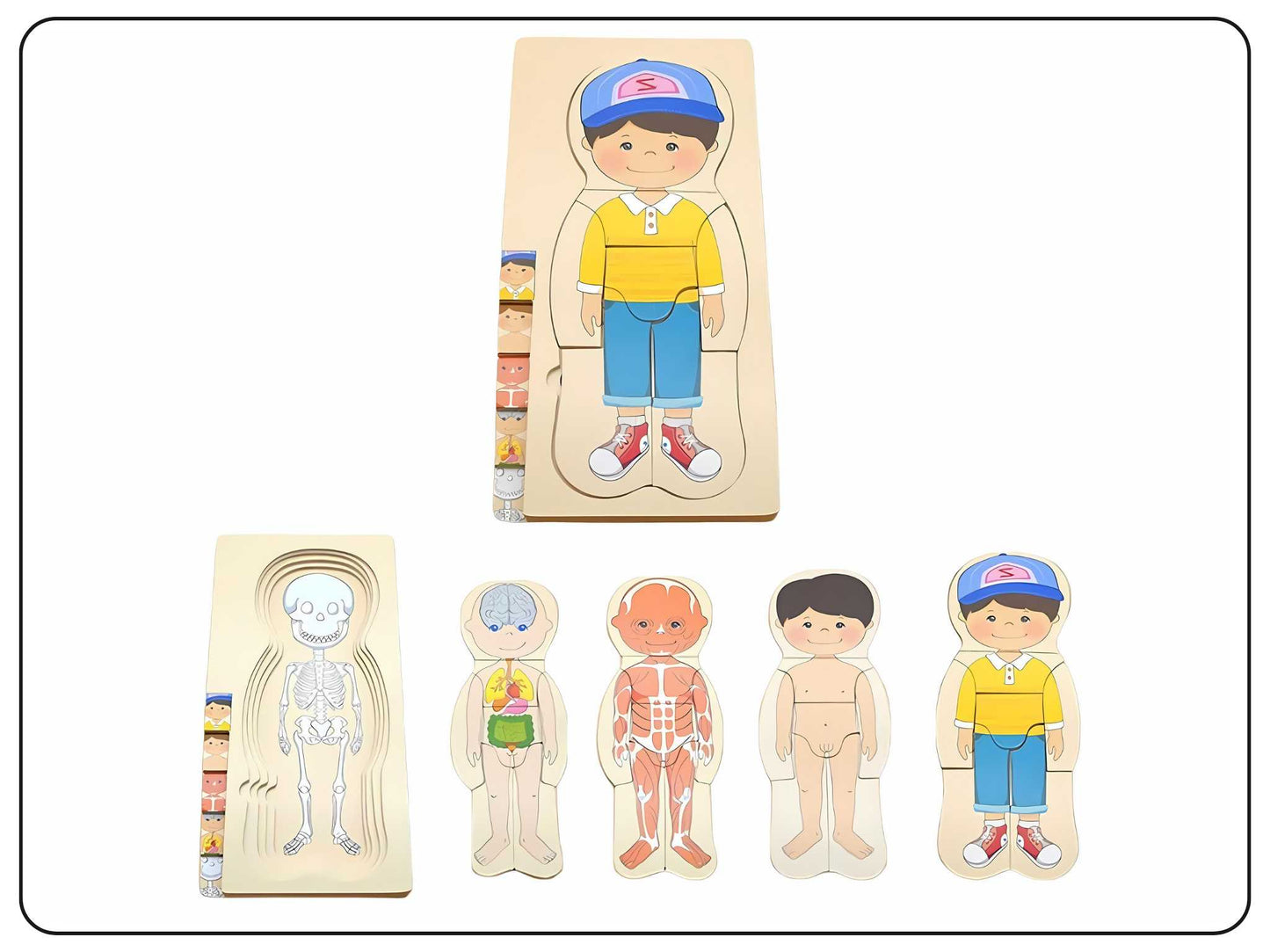 Wooden Human Body Puzzle Educational Toy