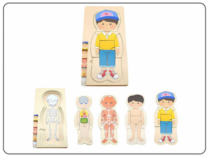 Wooden Human Body Puzzle Educational Toy
